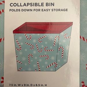 Collapsible storage bins (set of 3)